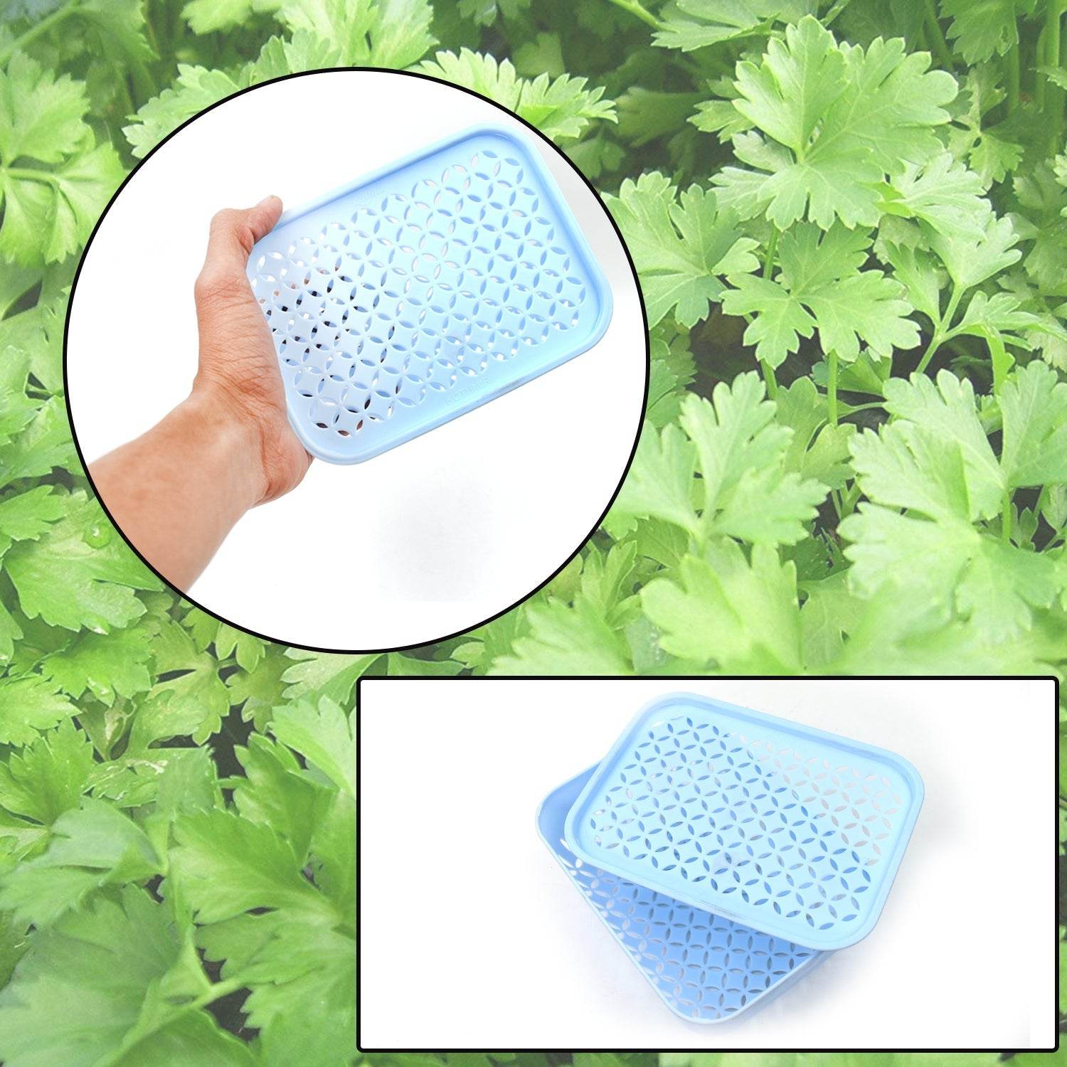1 Pc Kothmir Basket widely used in all types of household places for holding and storing various kinds of fruits and vegetables etc. - infinityexculsivestore.com