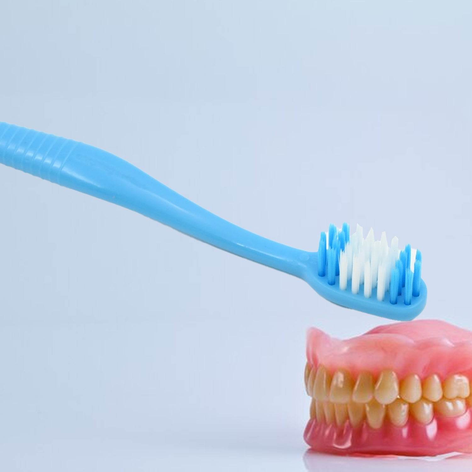 2 in 1 Soft Toothbrush and Tongue With Toothbrush Cover Cleaner Scraper for Men and Women, Kids, Adults Plastic Toothbrush Cover / Case / Holder (1 Pc) - infinityexculsivestore.com