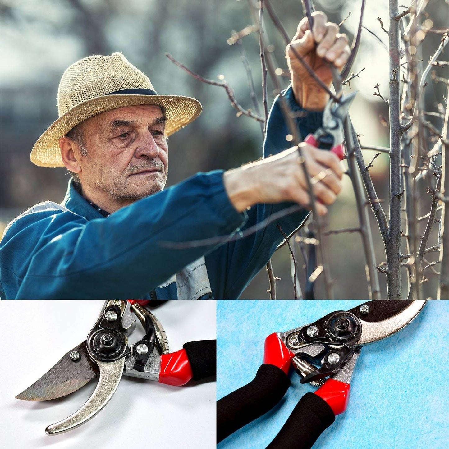 21Cm Red GARDEN SHEARS SHARP CUTTER PRUNERS SCISSOR, PRUNER. - infinityexculsivestore.com