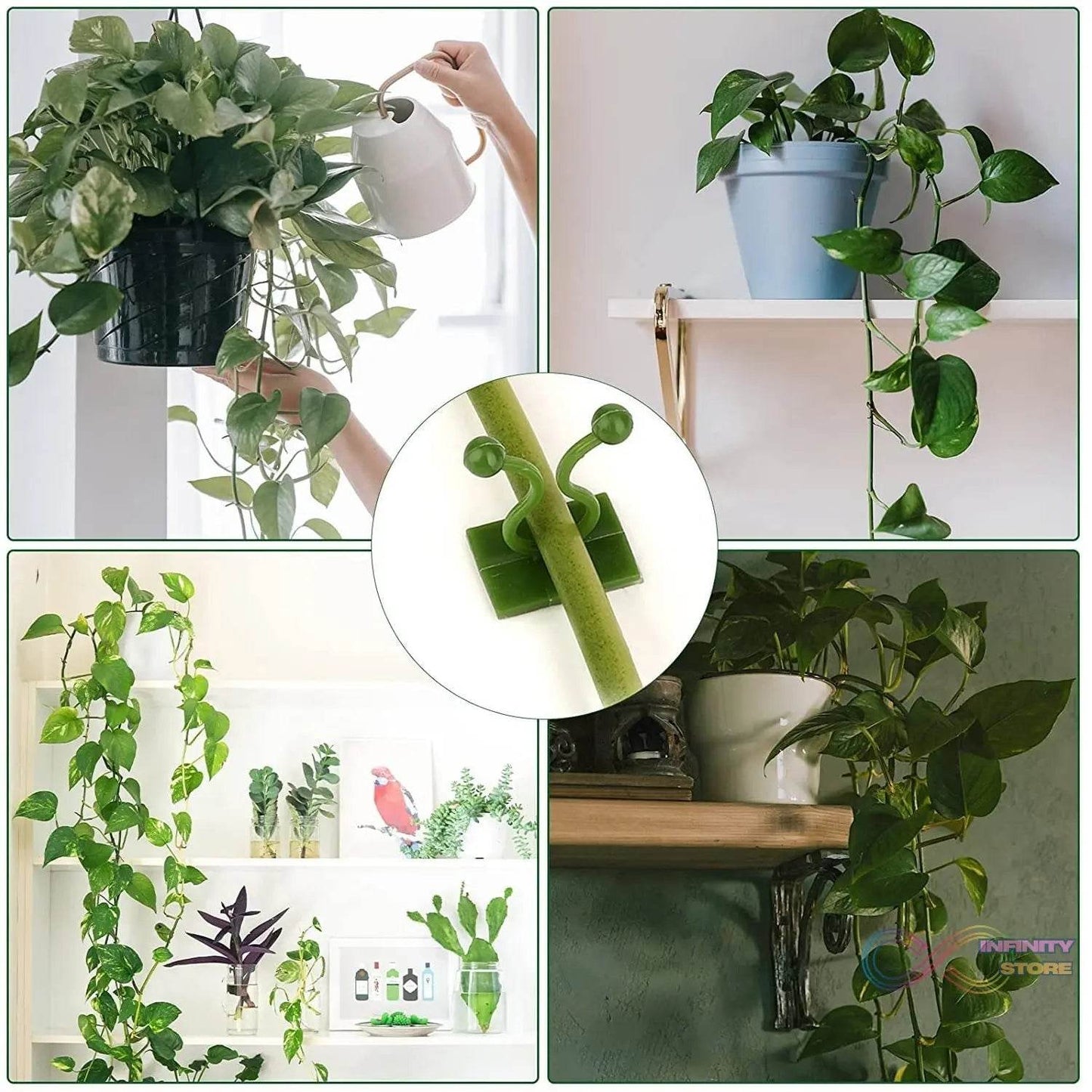 30pcs wall Plant Climbing Clip widely used for holding plants and poultry purposes and all (Box/30 Pcs Set) - infinityexculsivestore.com