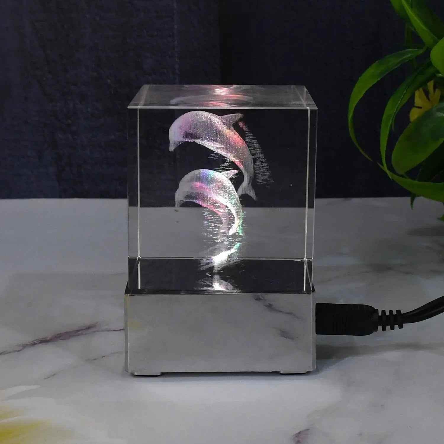 3D Dolphin LED Light, Desk Decor, LED Light Base, USB Charging (1 Pc) - infinityexculsivestore.com