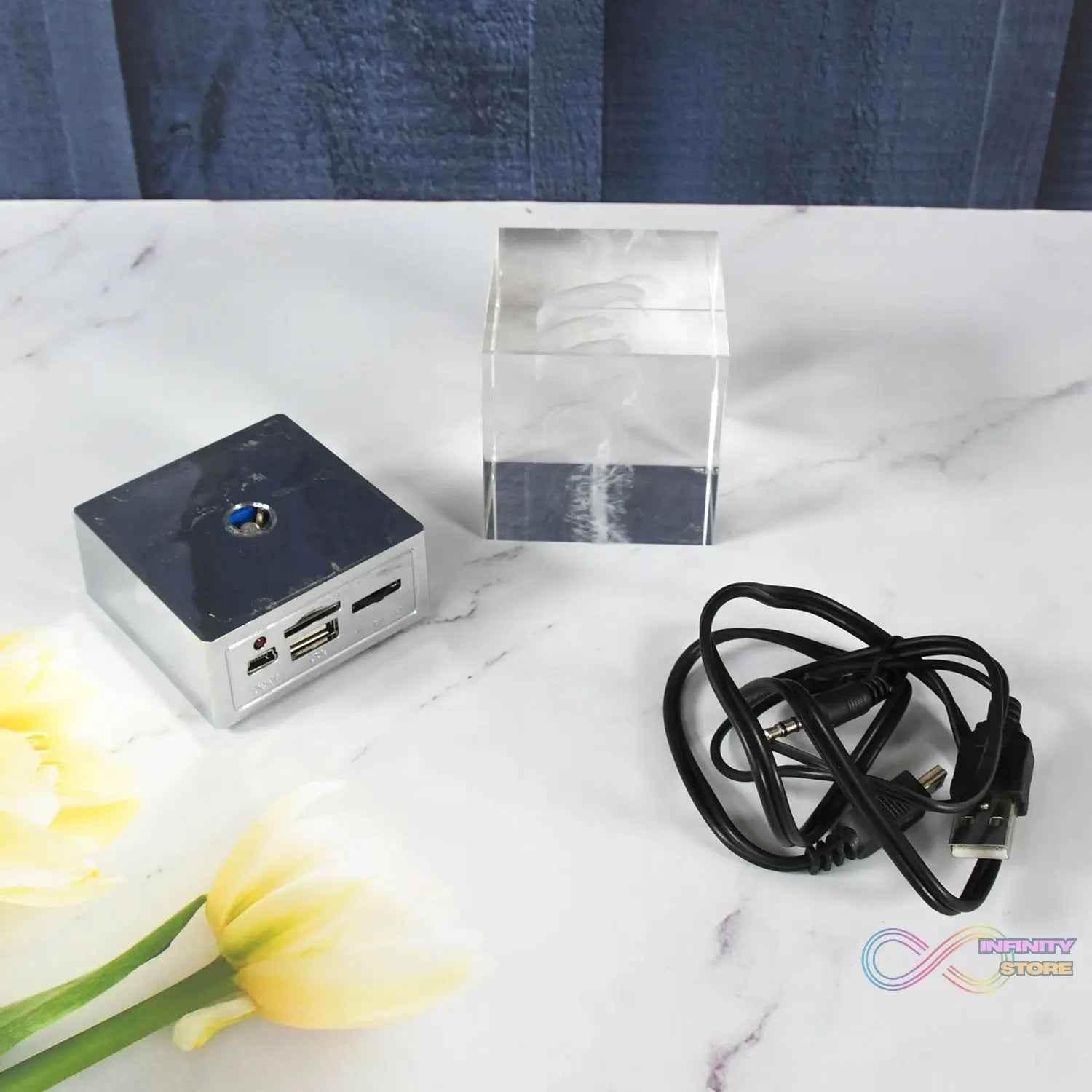 3D Dolphin LED Light, Desk Decor, LED Light Base, USB Charging (1 Pc) - infinityexculsivestore.com