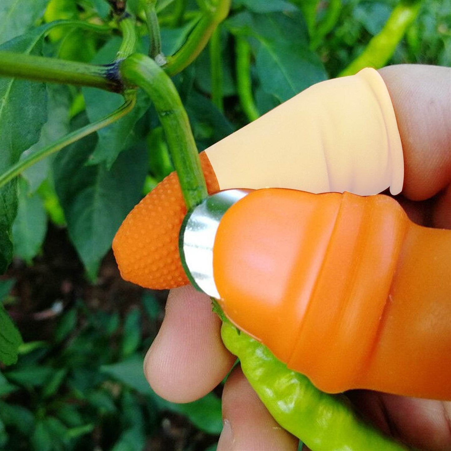 5-Piece Vegetable Thumb Cutter Set with Sharp Blades - infinityexculsivestore.com