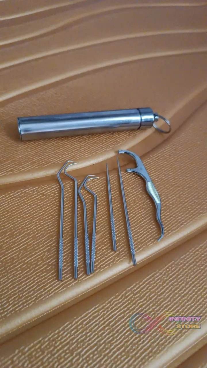 7 IN 1 STAINLESS STEEL TOOTHPICK FLOSSIER SET (1 SET / With Case) - infinityexculsivestore.com