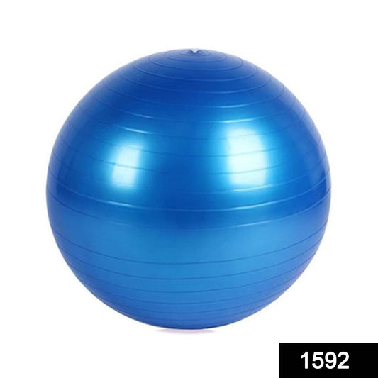 Anti-Burst Exercise Heavy Duty Gym Ball (Multicolour) (75Cm) - infinityexculsivestore.com