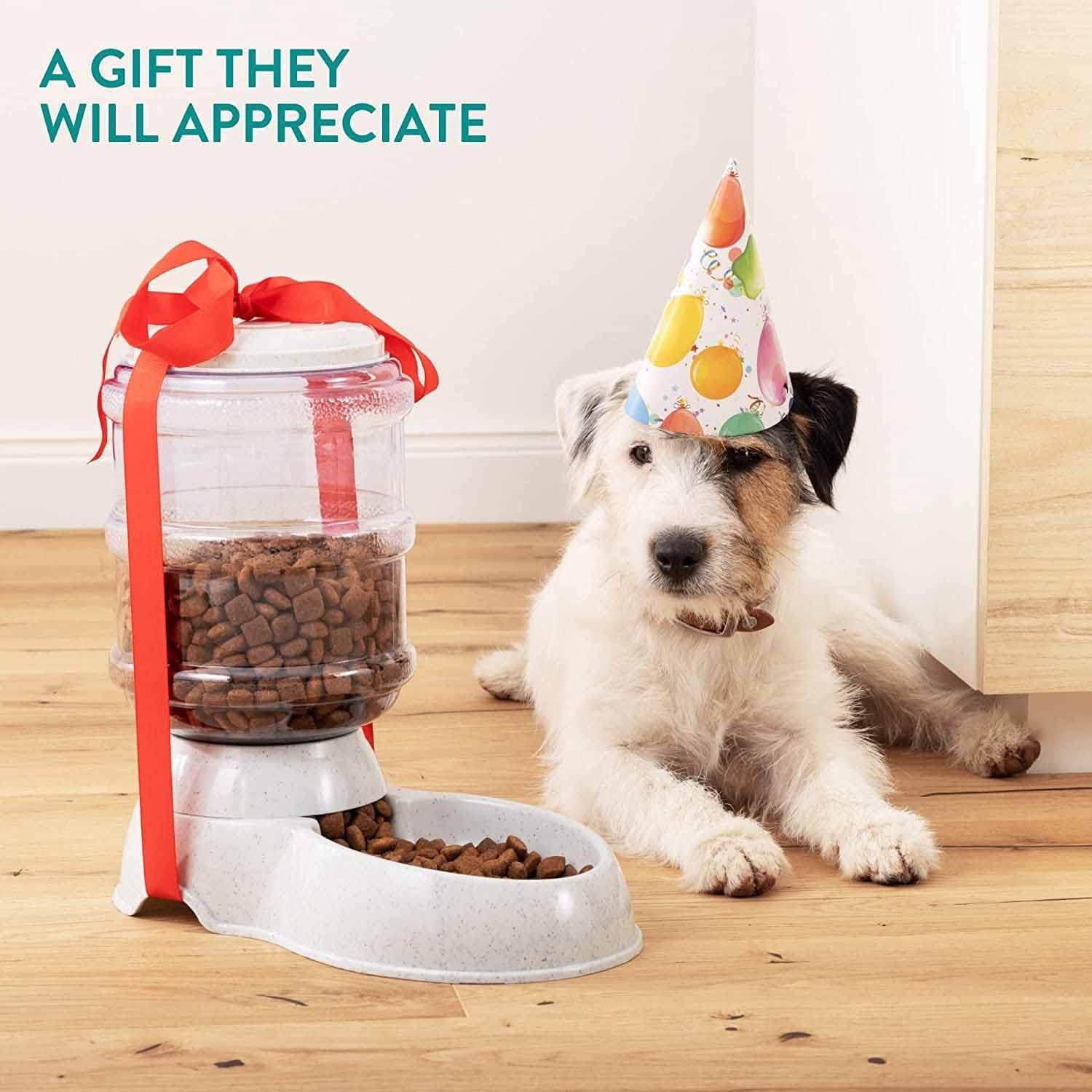 Automatic Pet Food Dispenser Self-Dispensing Pet Feeder Food Dispenser - infinityexculsivestore.com
