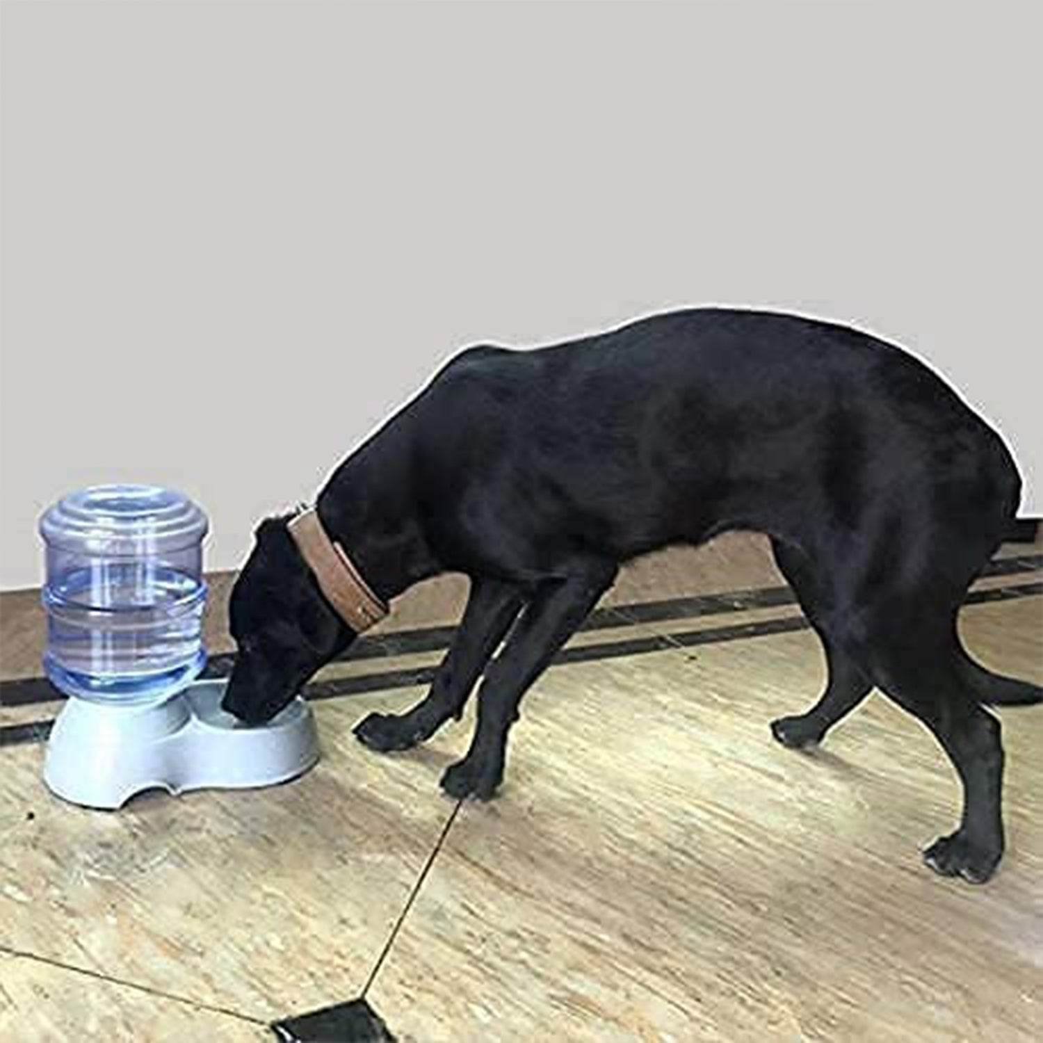 Automatic Pet Water Dispenser, Food Storage Bottle - infinityexculsivestore.com