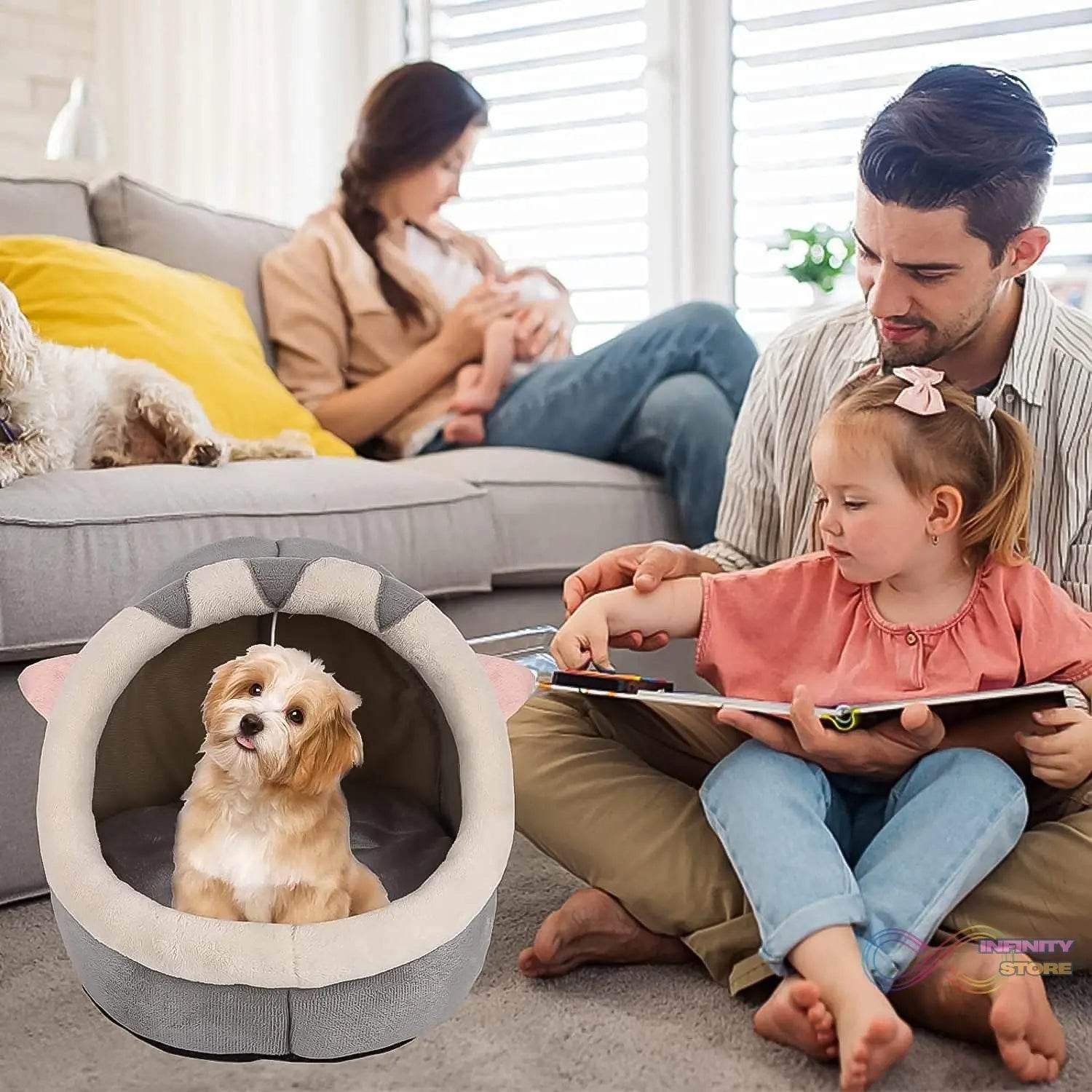 Cat / Dog Bed for Indoor Cats (1 Pc) - infinityexculsivestore.com