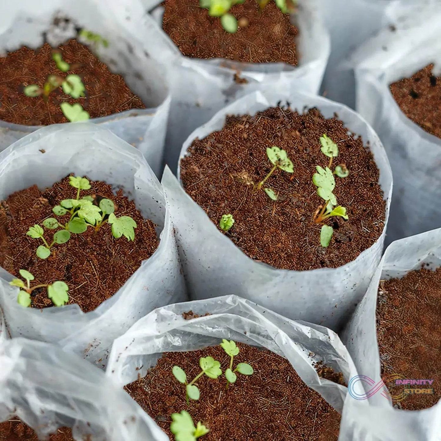 Cocopeat Block Organic Fertilizer and Soil Manure Potting Mixture for Home Gardening and Potted Plants (1 KG.) - infinityexculsivestore.com