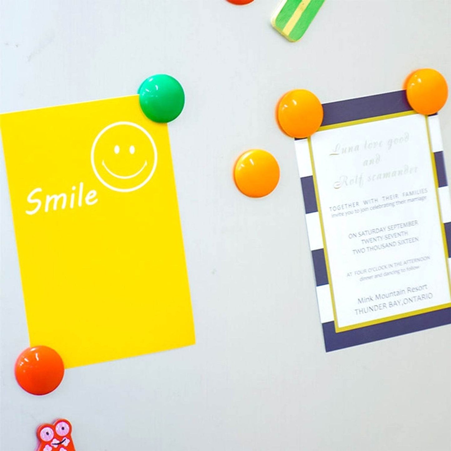 Colorful Board Magnets Circular Plastic Buttons - infinityexculsivestore.com