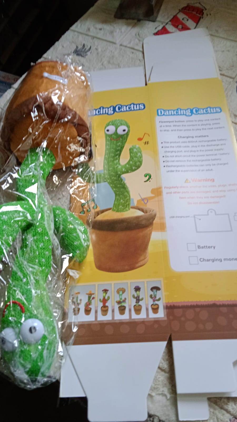 Dancing Cactus Toy - infinityexculsivestore.com