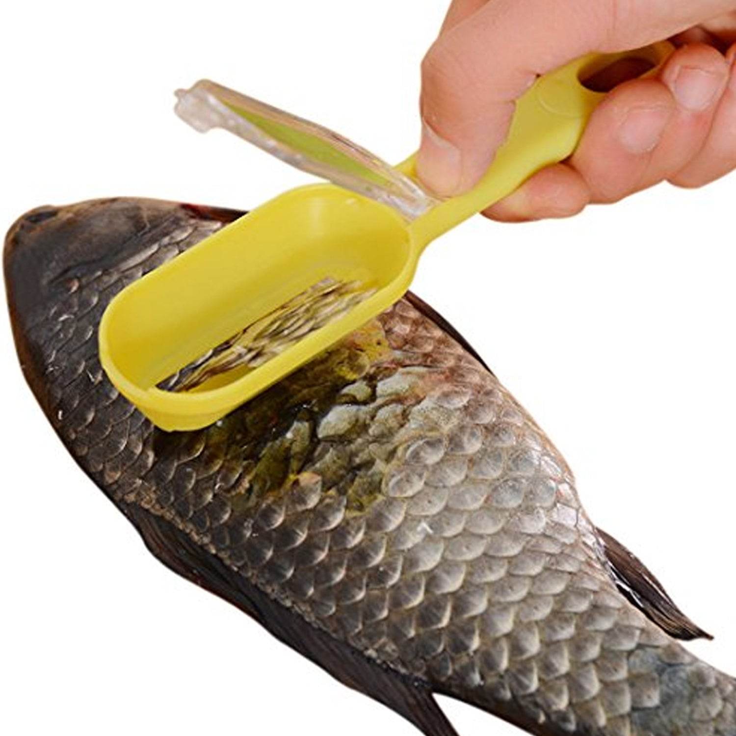 Effortless Fish Cleaning: Scraper, Grater & Brush in One (1 Pc) - infinityexculsivestore.com