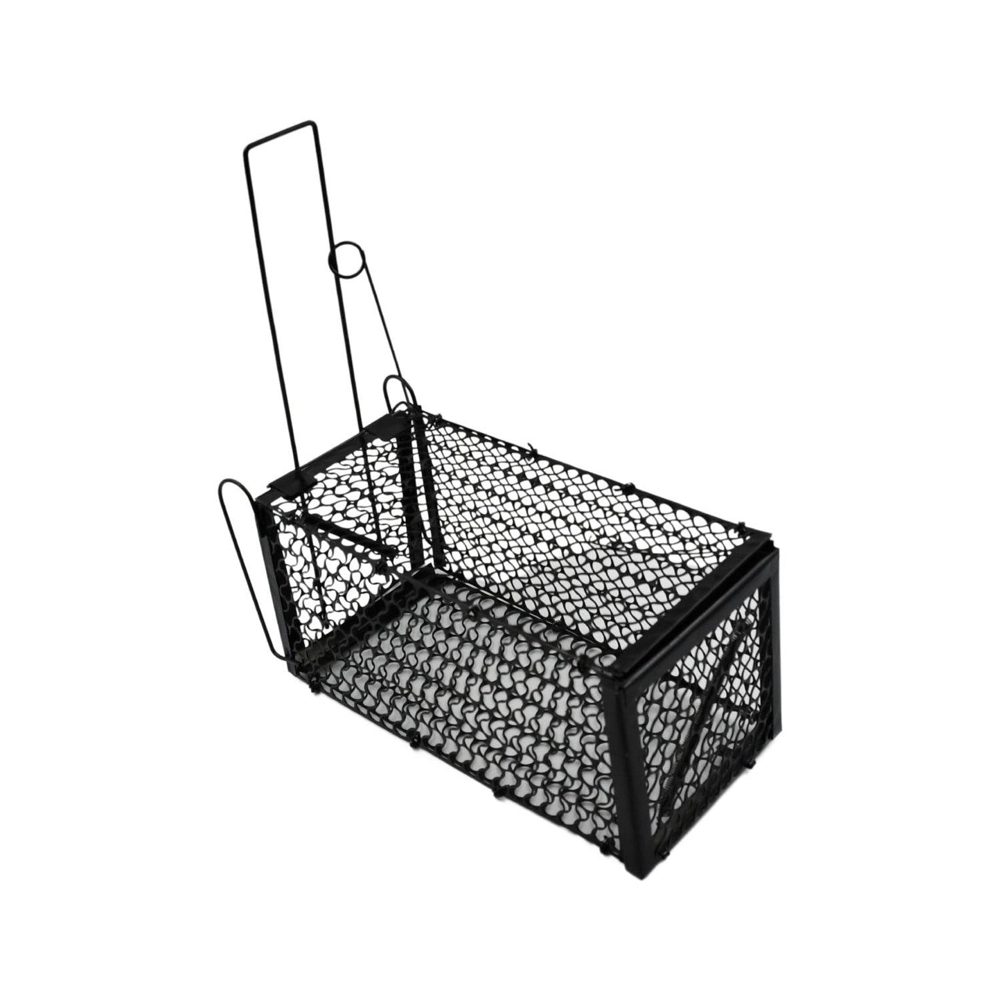 Foldable Mouse Trap Squirrel Trap Small Live Animal Trap Mouse Voles Hamsters Live Cage Rat Mouse Cage Trap for Mice Easy to Catch and Release - infinityexculsivestore.com