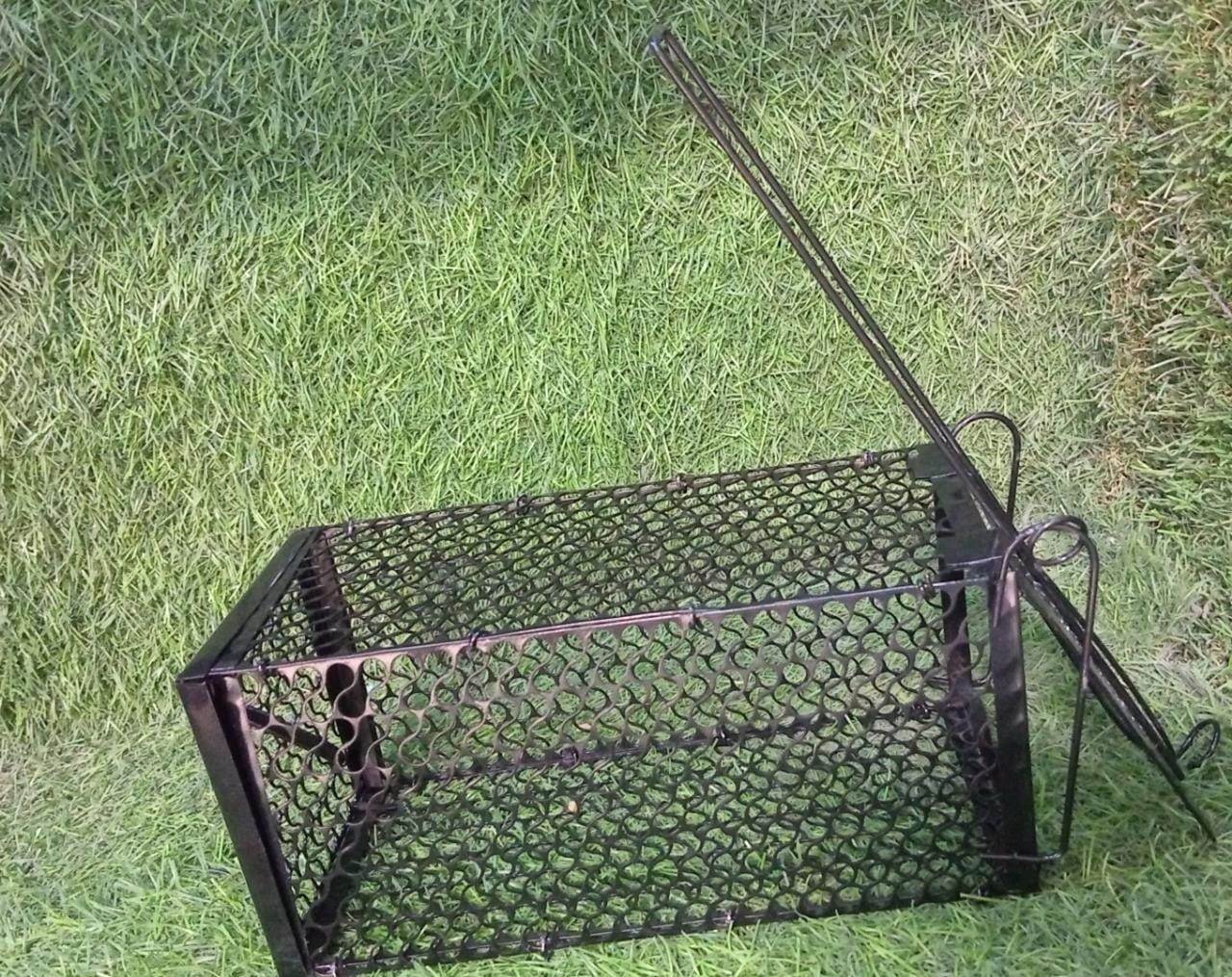 Foldable Mouse Trap Squirrel Trap Small Live Animal Trap Mouse Voles Hamsters Live Cage Rat Mouse Cage Trap for Mice Easy to Catch and Release - infinityexculsivestore.com