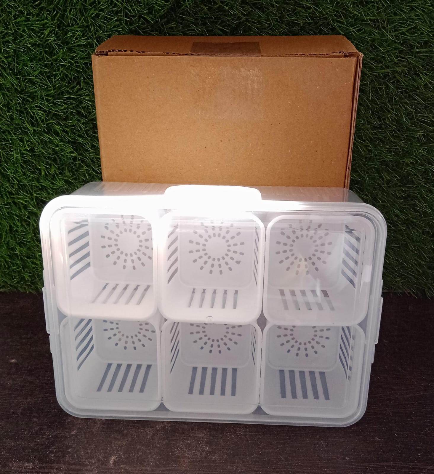 Fridge Storage Boxes Freezer Storage Containers, Container for Kitchen Storage Set, Storage in Kitchen, Vegetable Storage, Draining Crisper Refrigerator Food Box (1 Pc) - infinityexculsivestore.com