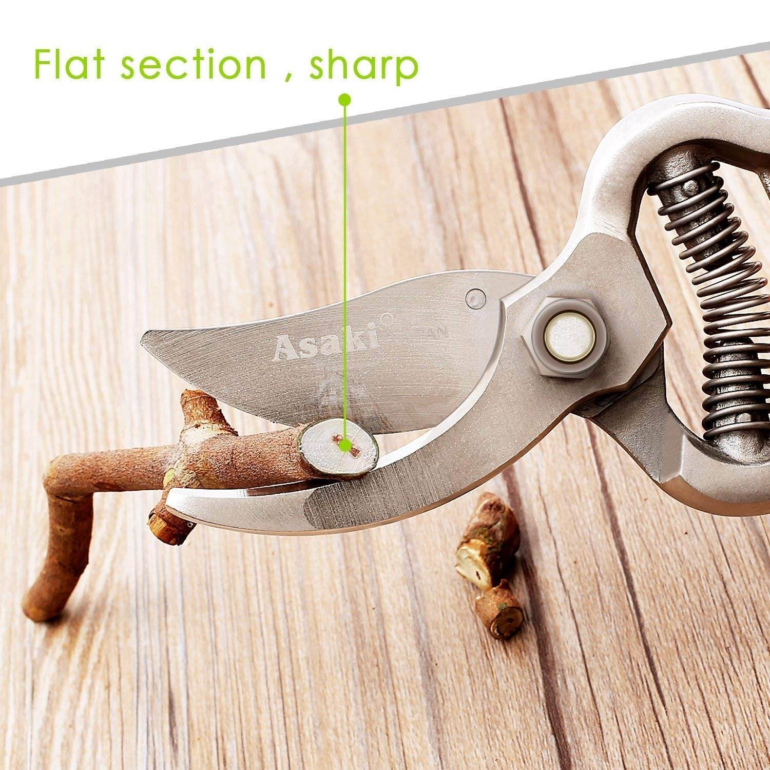 Garden Shears Pruners Scissor (8 inch) - infinityexculsivestore.com