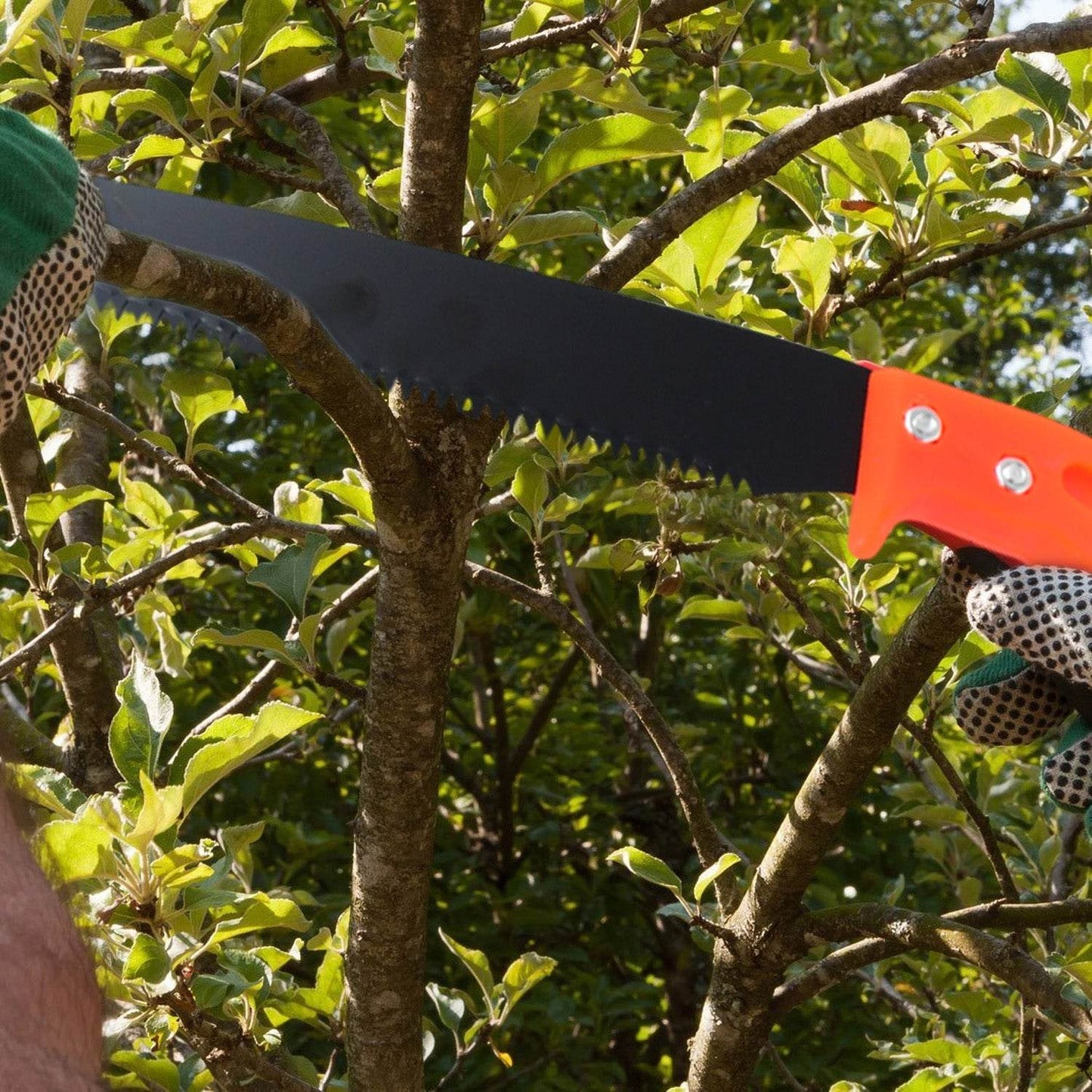 Hand Pruning Saw for Tree Branch Cutter (1 Pc) - infinityexculsivestore.com