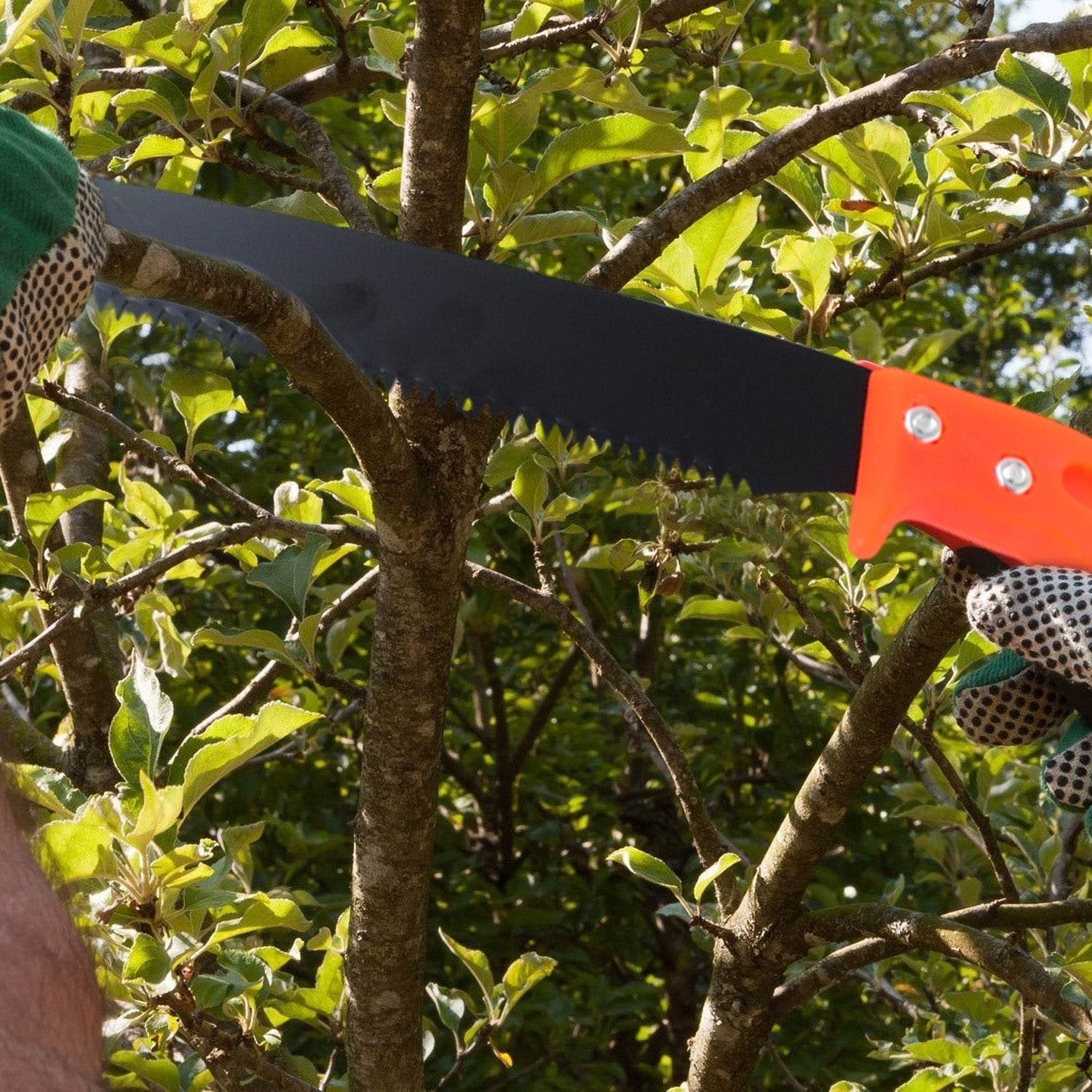 Hand Pruning Saw for Tree Branch Cutter (1 Pc) - infinityexculsivestore.com