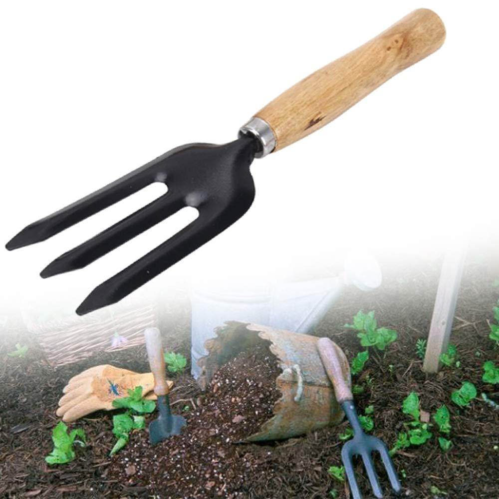 Hand Weeding Fork (Steel, Black) - infinityexculsivestore.com