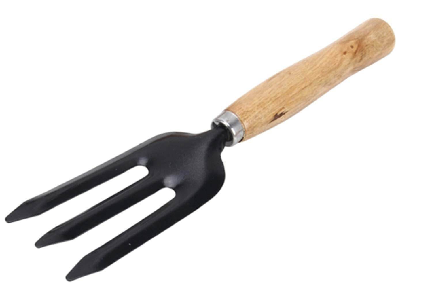 Hand Weeding Fork (Steel, Black) - infinityexculsivestore.com