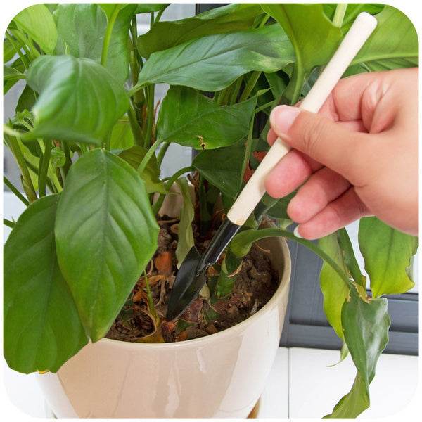 Kid's Garden Tools Set of 3 Pieces (Trowel, Shovel, Rake) - infinityexculsivestore.com