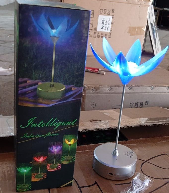 Lotus Flower Lamp with Music, Touch Open and Close, USB Rechargeable (1 Pc / Only One Color) - infinityexculsivestore.com