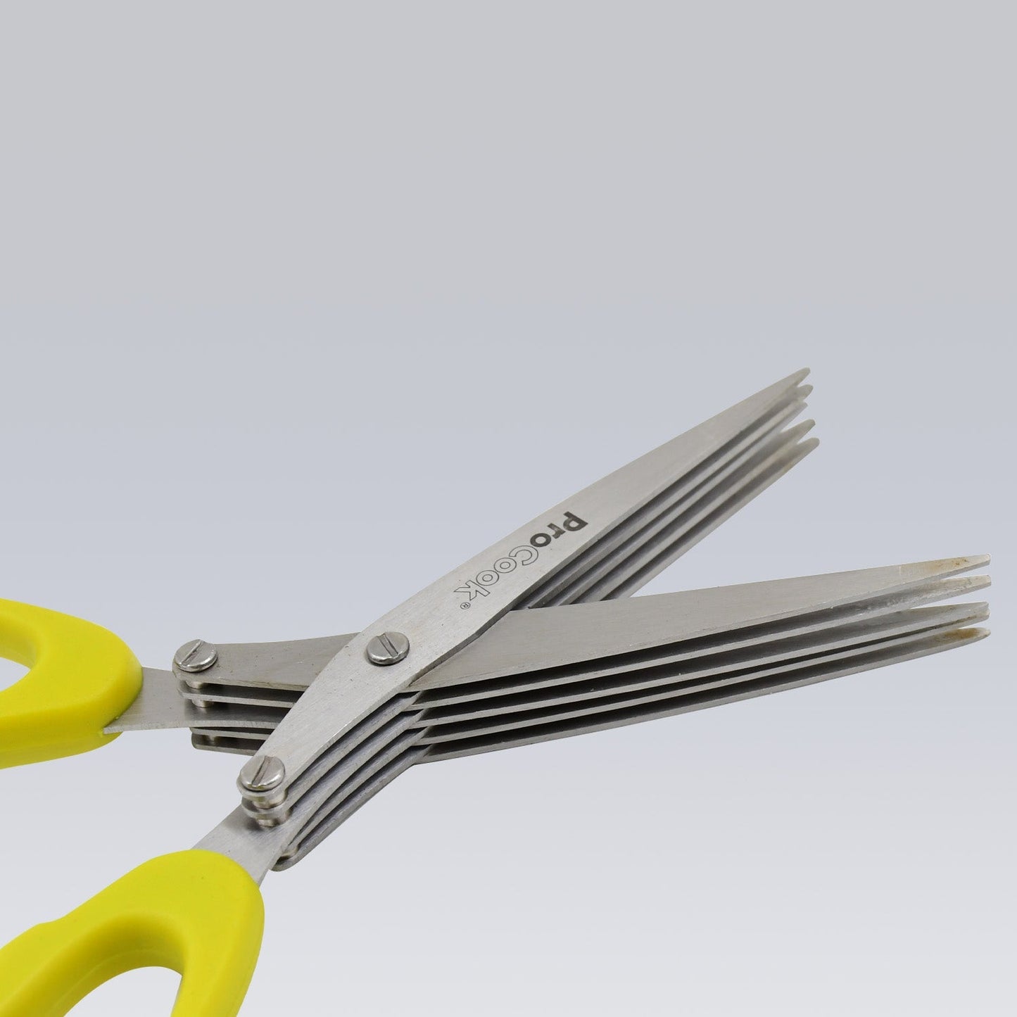 Multifunction Vegetable Stainless Steel Herbs Scissor with 5 Blades (1 Pc) - infinityexculsivestore.com