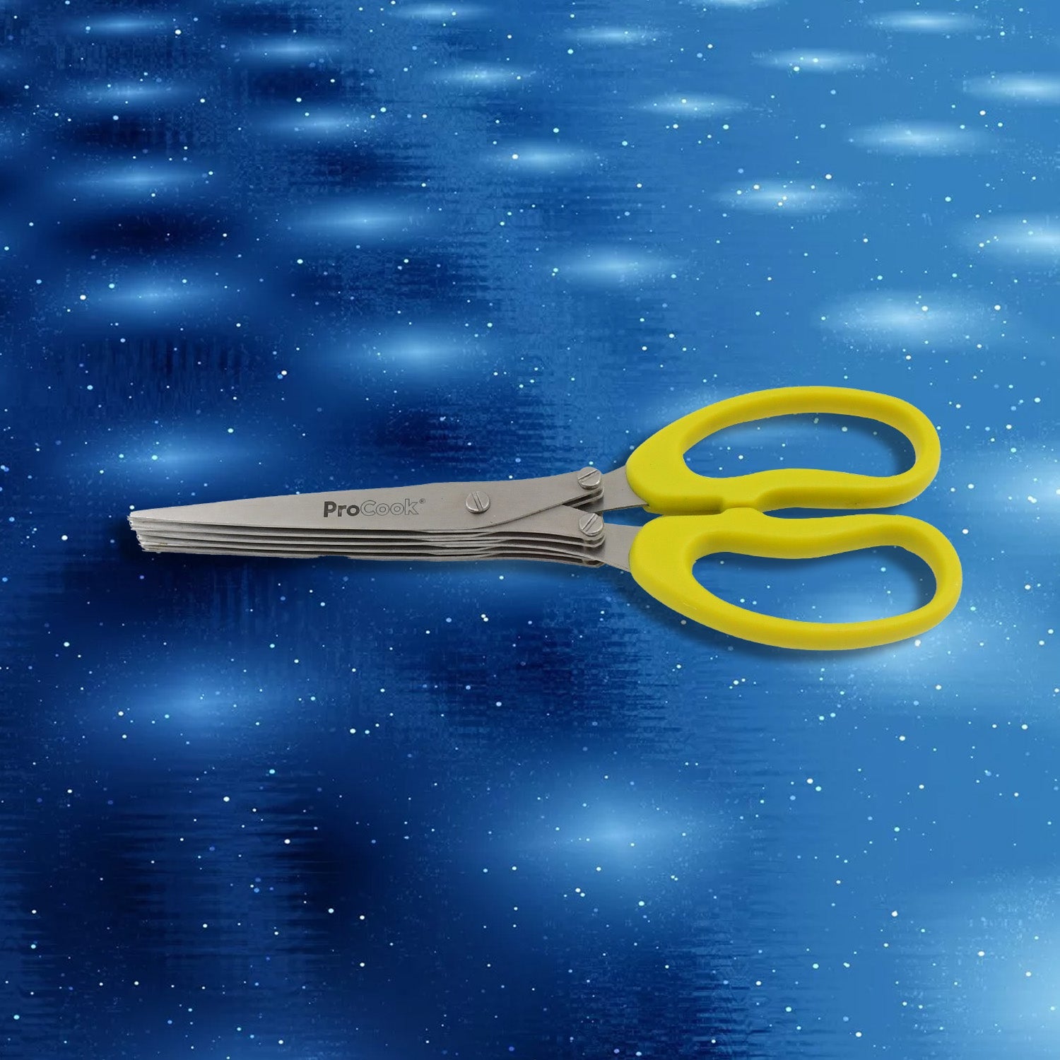 Multifunction Vegetable Stainless Steel Herbs Scissor with 5 Blades (1 Pc) - infinityexculsivestore.com