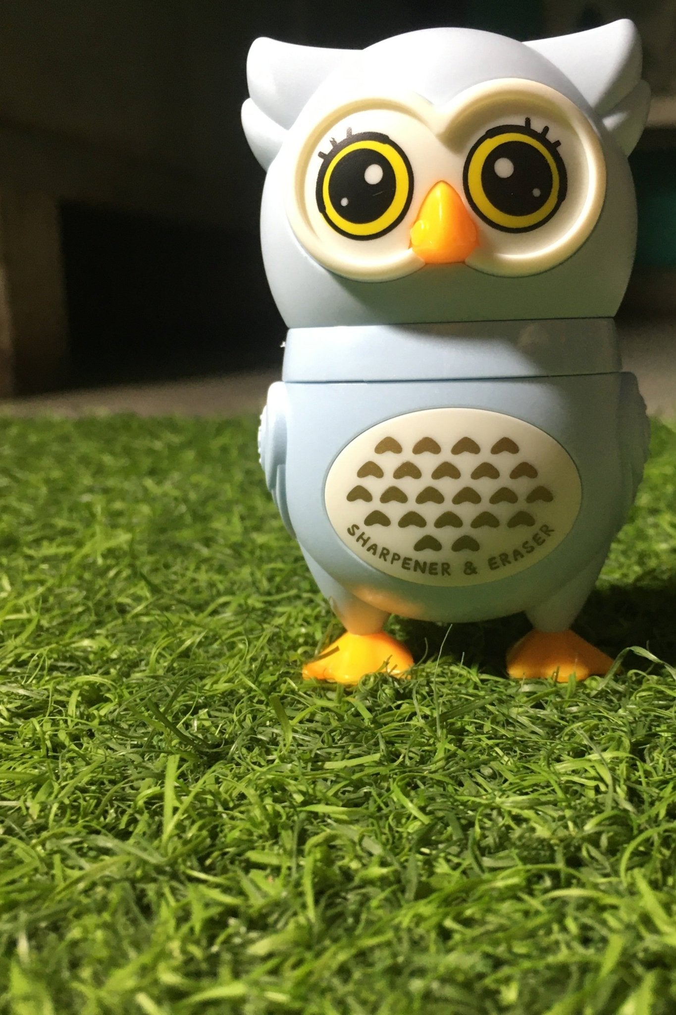 Owl Theme Pencil Sharpner and Eraser 2 in 1 Combo For Kids (Blue) - infinityexculsivestore.com