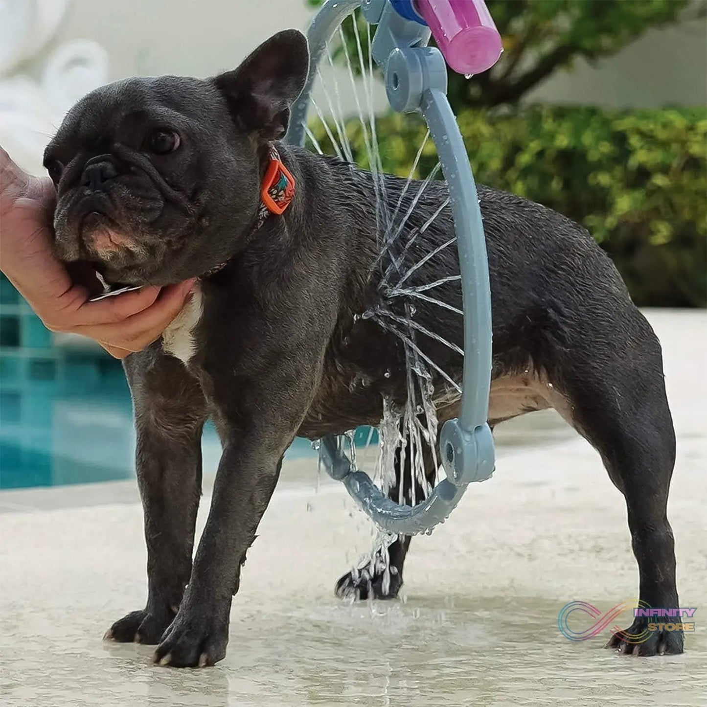 Pet Shower Sprayer, Cat Dog Grooming Bath Massager, With Microfiber Glove (1 Set) - infinityexculsivestore.com