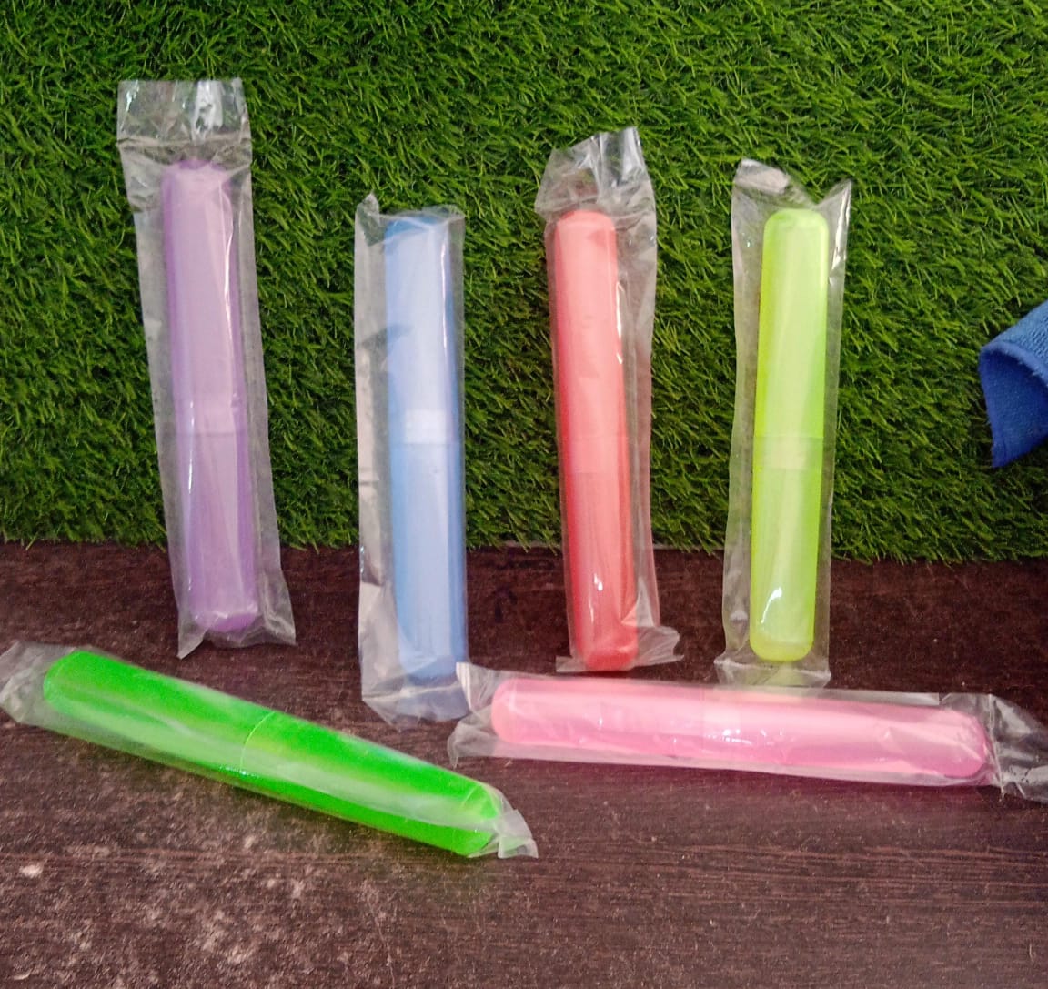 Plastic Hygienic Toothbrush Travel Portable Case 1 Pcs - infinityexculsivestore.com