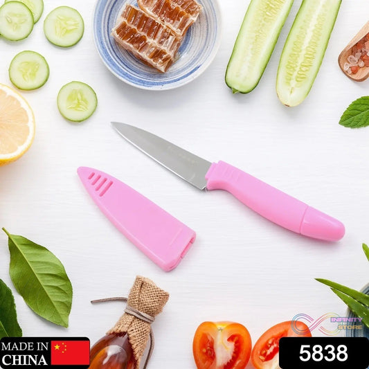 Sharp Fruit Knife (Stainless Steel, Comfortable Grip): 1 Pc - infinityexculsivestore.com