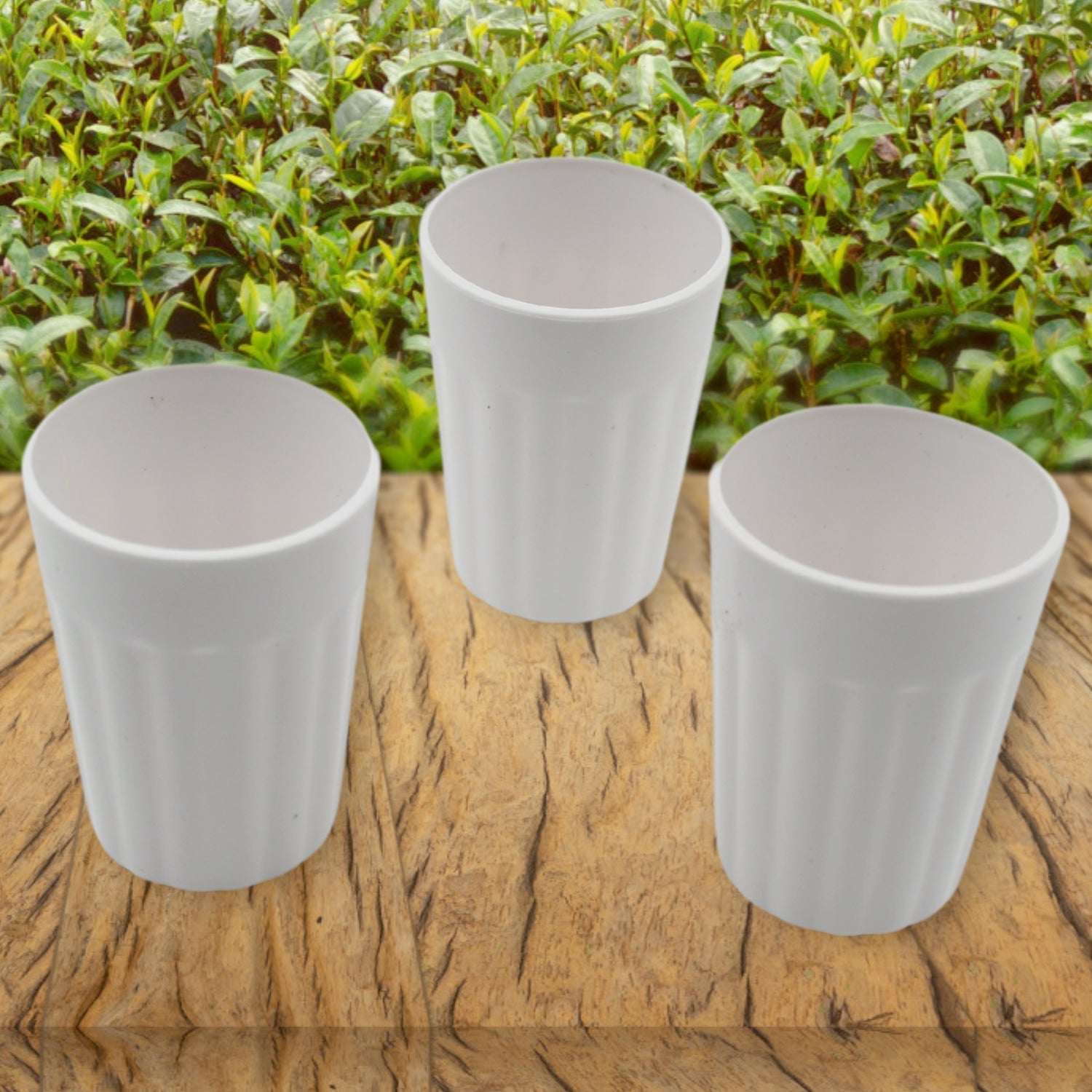 Small Plastic Coffee / Tea Cups Reusable Plastic Cup Mug Lightweight Microwavable Safe Unbreakable Camping Coffee Mugs for Tea Milk Water Juice Tea (3 Pcs Set) - infinityexculsivestore.com