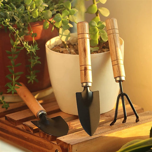 Small sized Hand Cultivator, Small Trowel, Garden Fork (Set of 3) - infinityexculsivestore.com