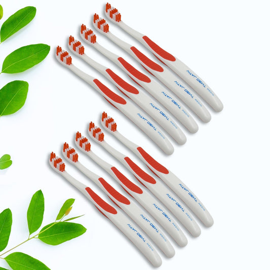Soft Toothbrush With Plastic Round Box for Men and Women, Kids, Adults Plastic Toothbrush (10 pcs Set) - infinityexculsivestore.com