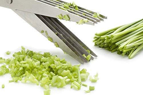 Stainless Steel 5 - Blade Herb Scissors - infinityexculsivestore.com
