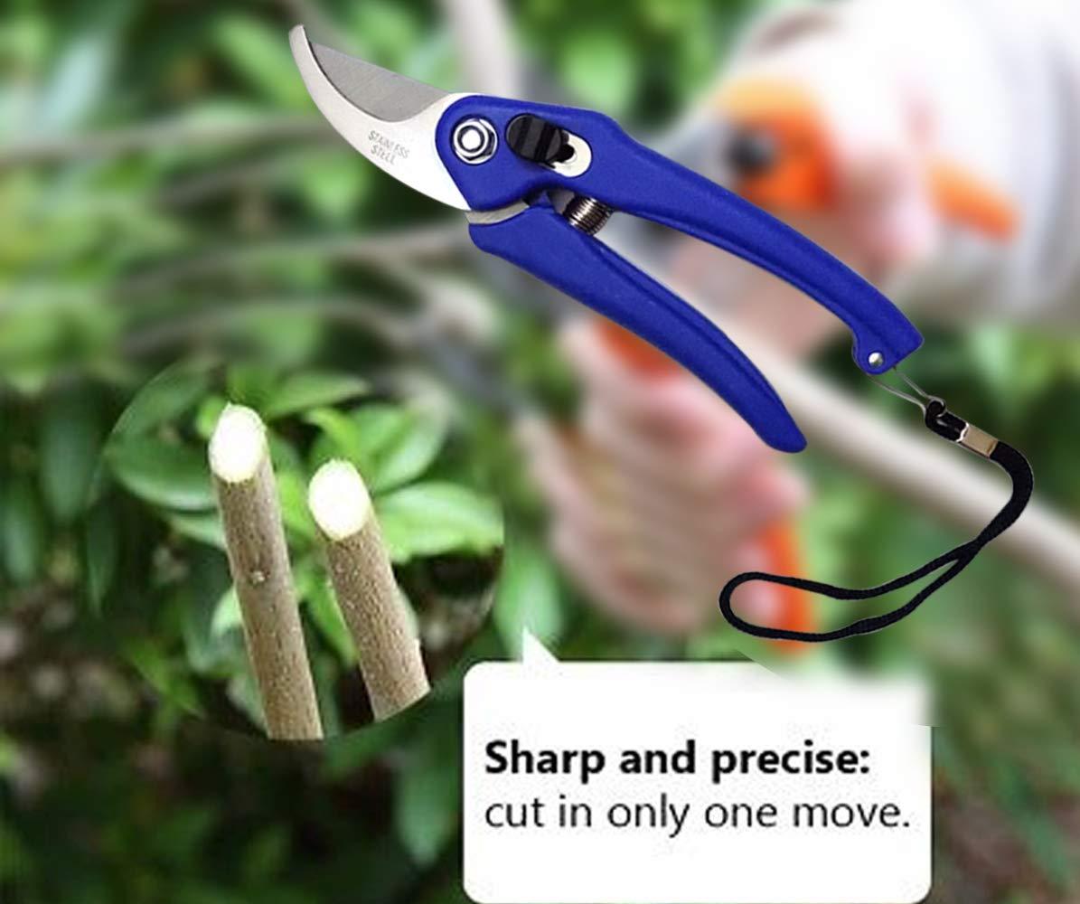 Stainless Steel Garden Scissors - infinityexculsivestore.com