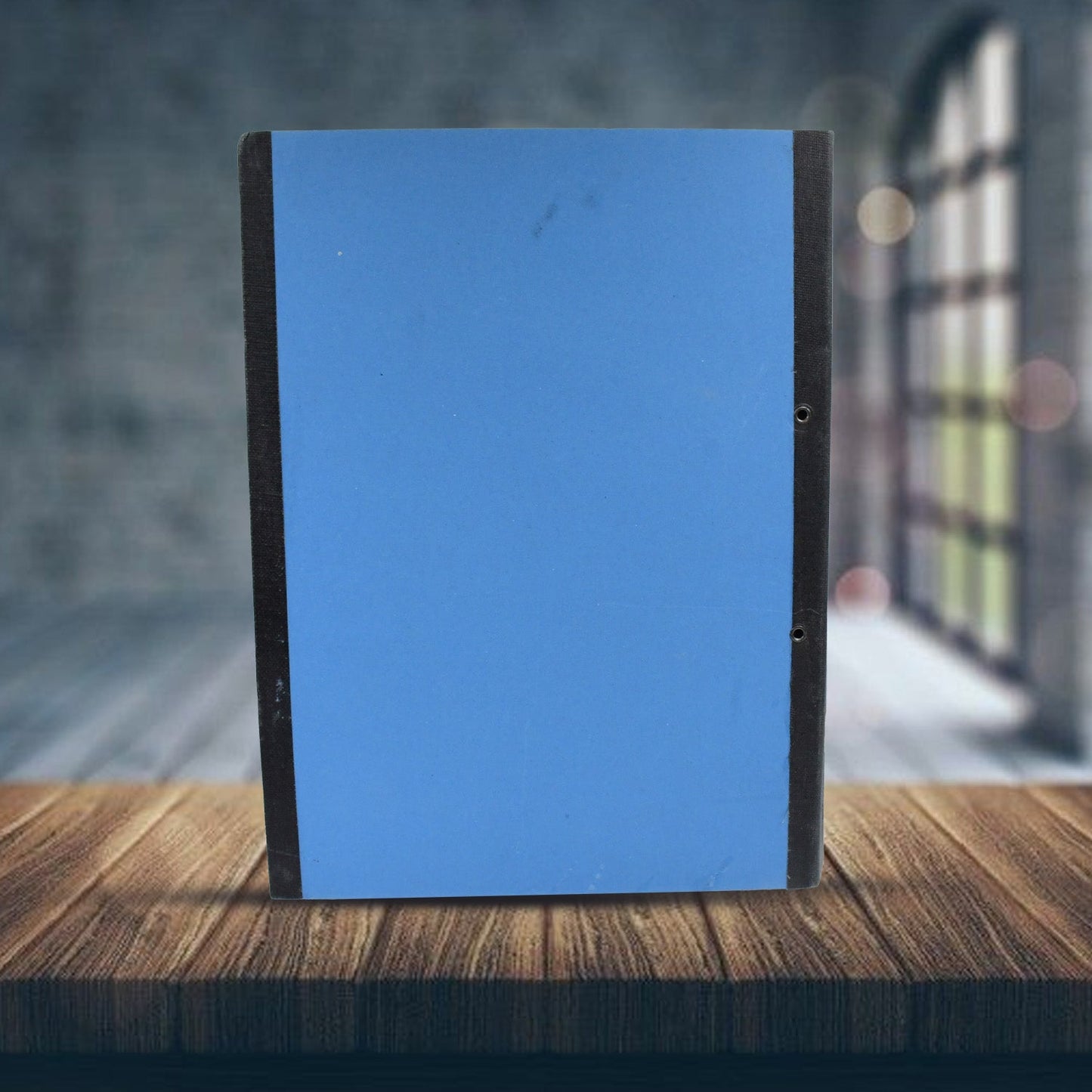 Standard file plastic clip, File Folder Paper Holder Documents File (35×26 Cm / 1 Pc / MOQ : - 4 Pc) - infinityexculsivestore.com
