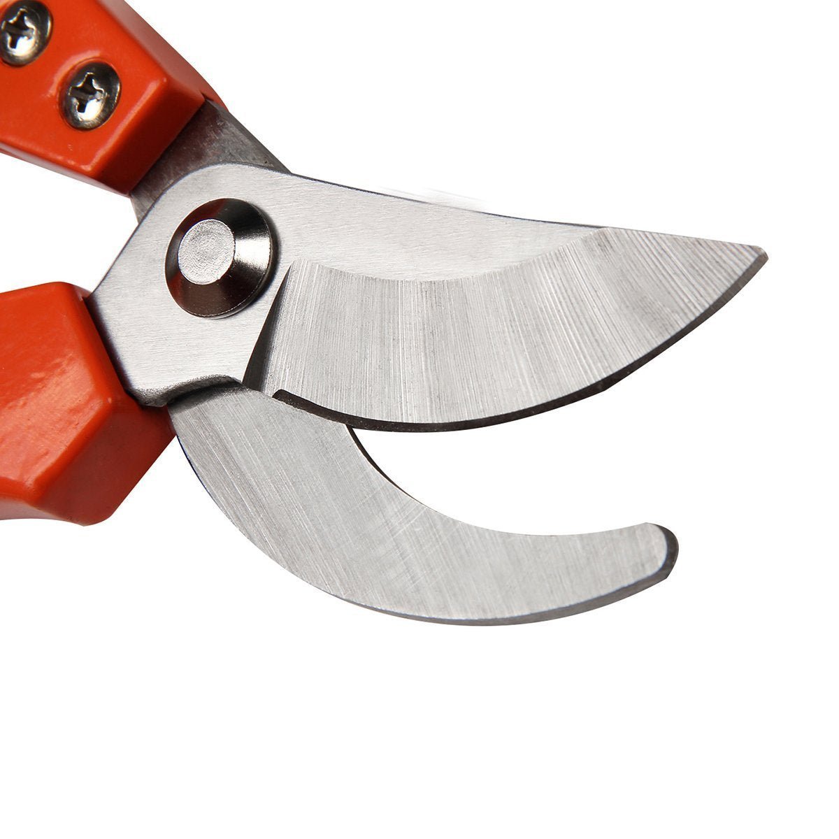 Tiger Garden Shears Pruners Scissor - infinityexculsivestore.com