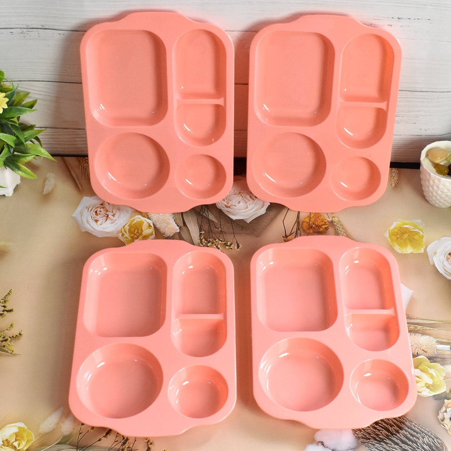 Unbreakable Plastic Food Plates / Biodegradable 5 Compartment Square Plate for Food - infinityexculsivestore.com
