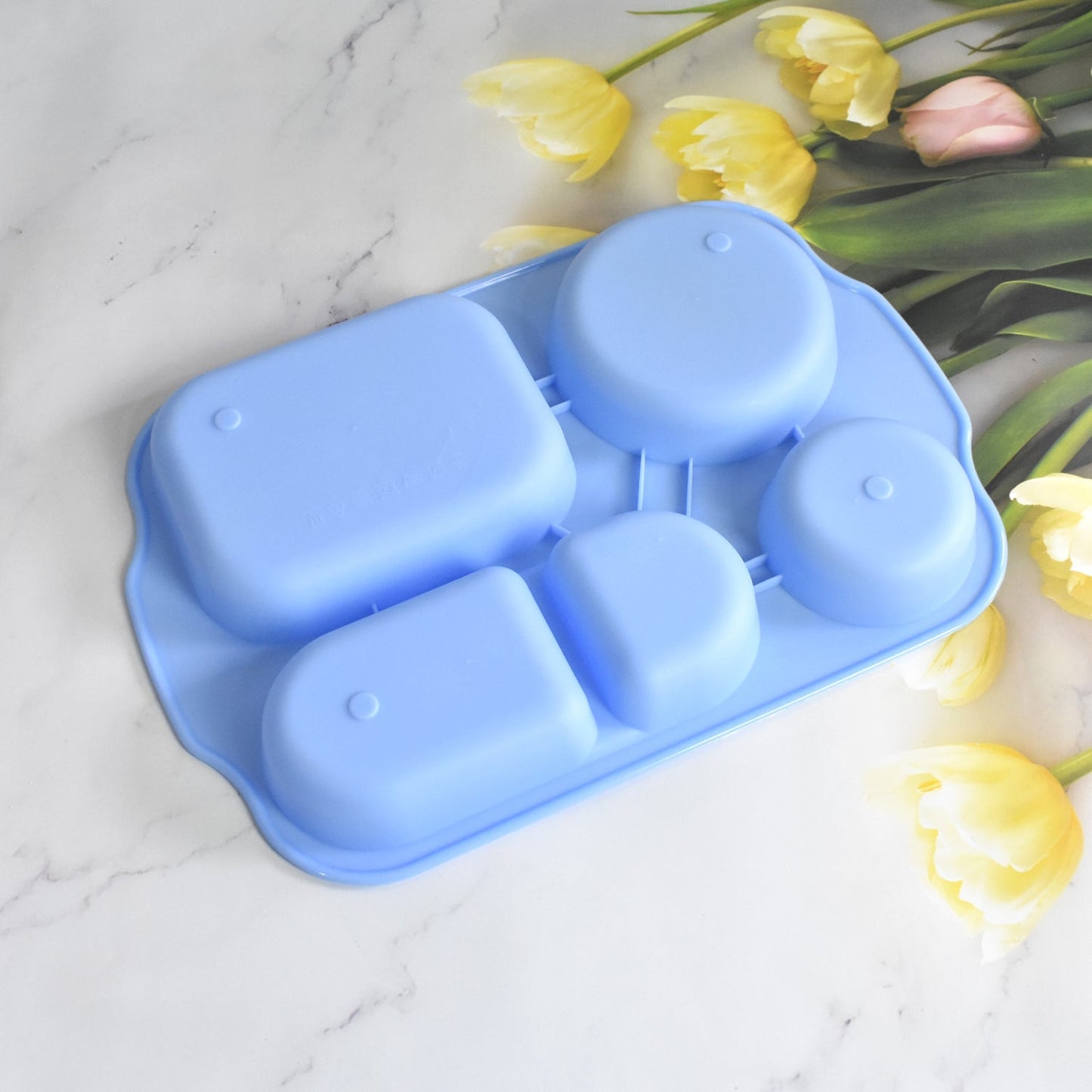 Unbreakable Plastic Food Plates / Biodegradable 5 Compartment Square Plate for Food - infinityexculsivestore.com