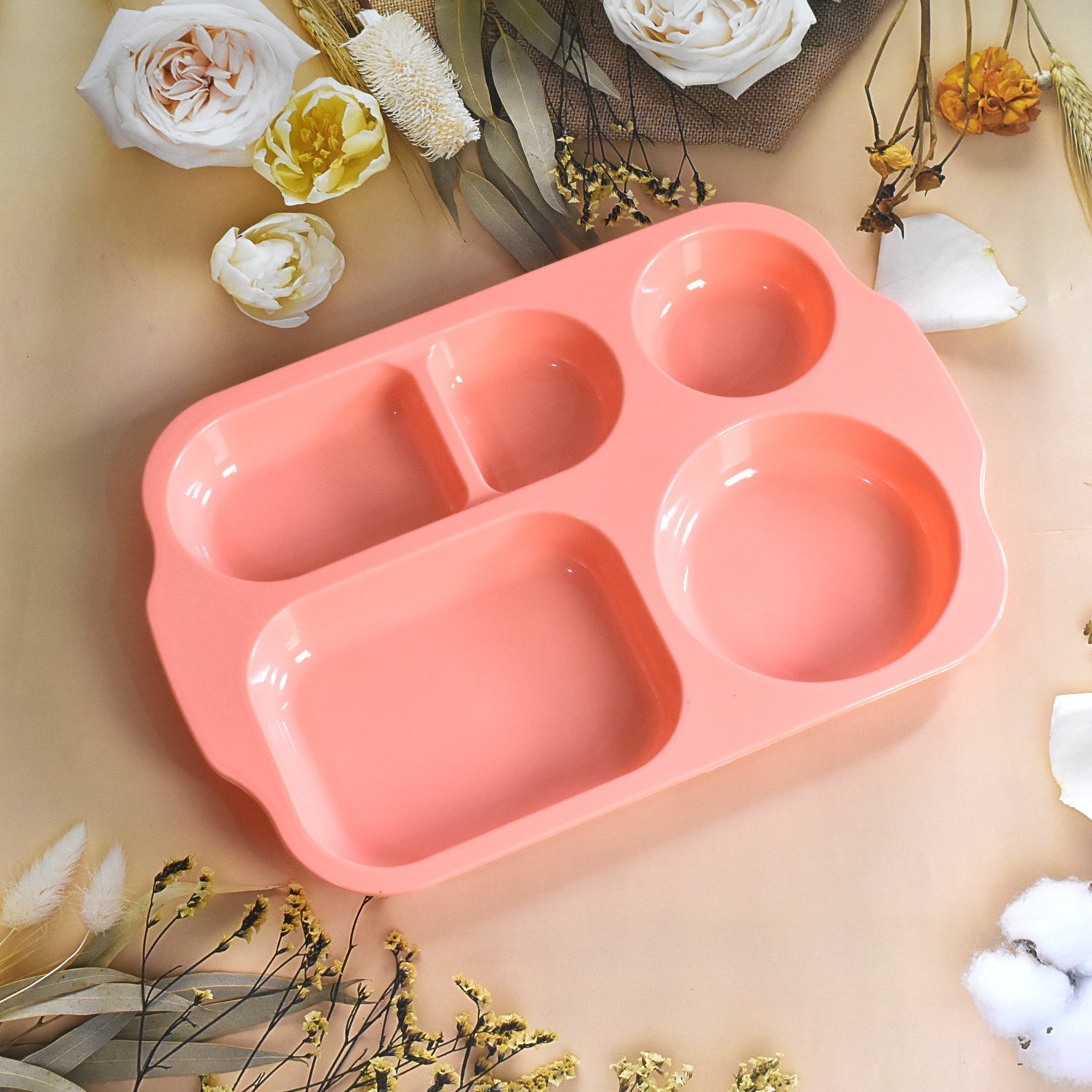 Unbreakable Plastic Food Plates / Biodegradable 5 Compartment Square Plate for Food - infinityexculsivestore.com