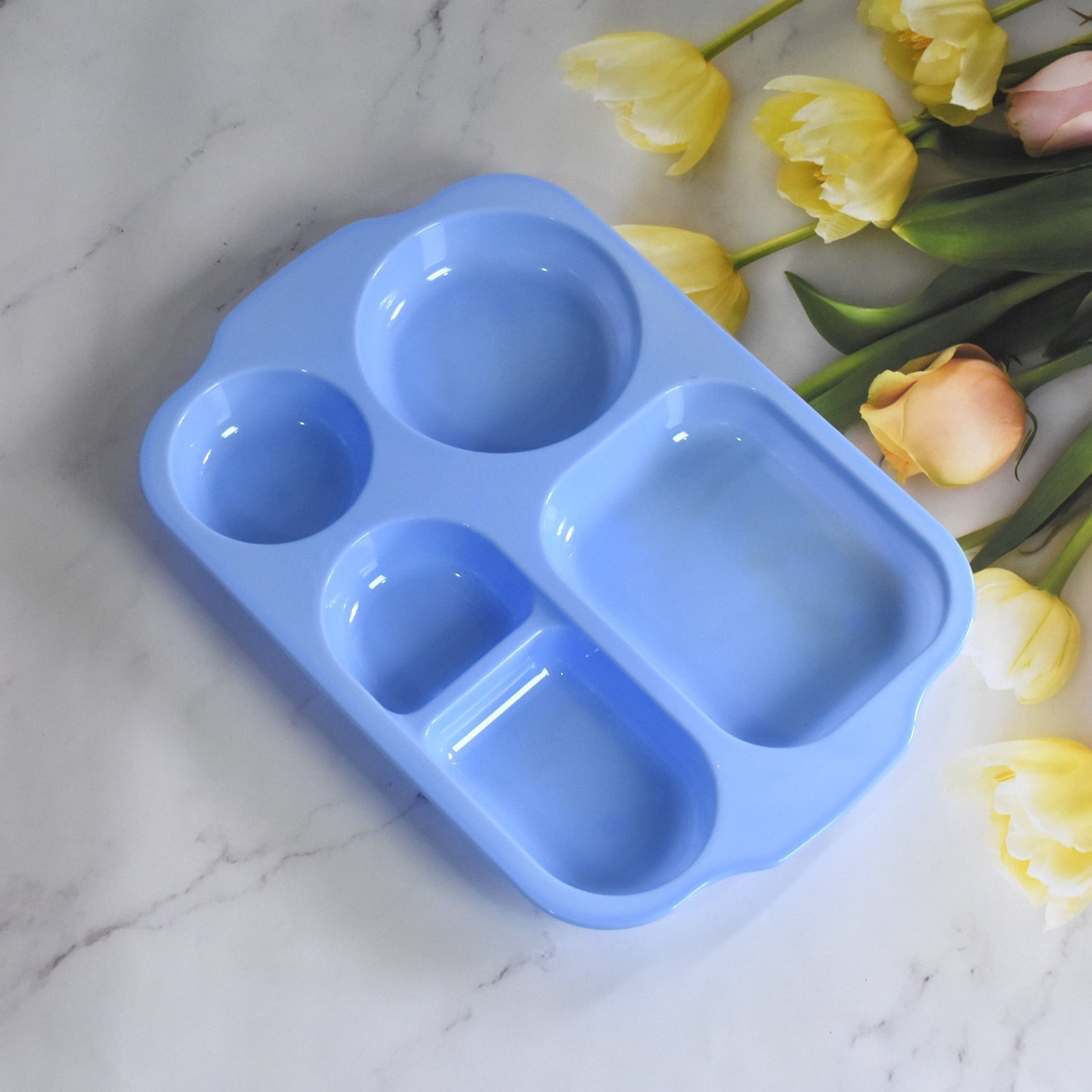 Unbreakable Plastic Food Plates / Biodegradable 5 Compartment Square Plate for Food - infinityexculsivestore.com