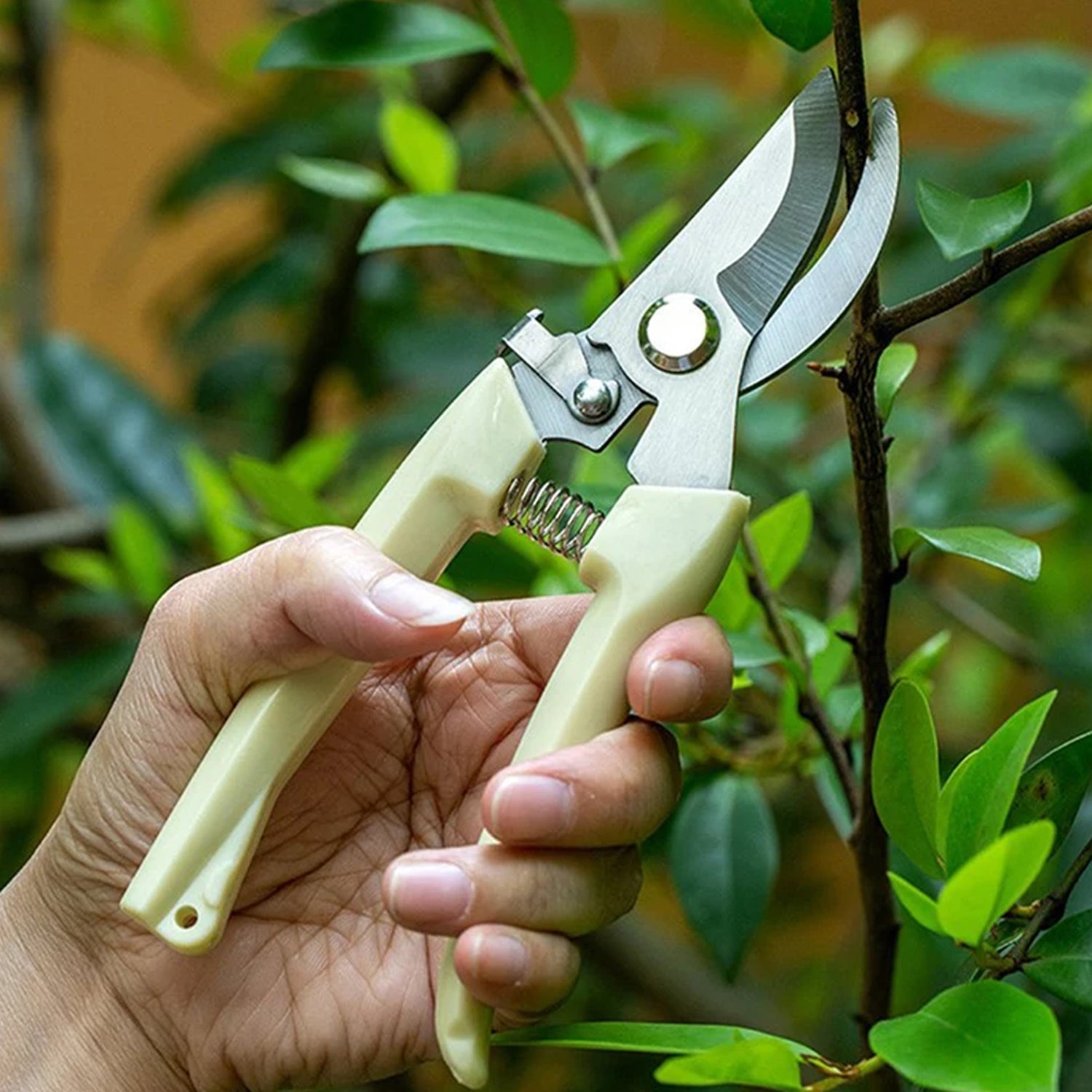 Stainless Steel Pruning Shears with Sharp Blades and Comfortable handle - Durable Hand Pruner for Comfortable and Easy Cutting, Heavy Duty Gardening Cutter Tool Plant Cutter for Home Garden | Wood Bran (1 Pc) - infinityexculsivestore.com