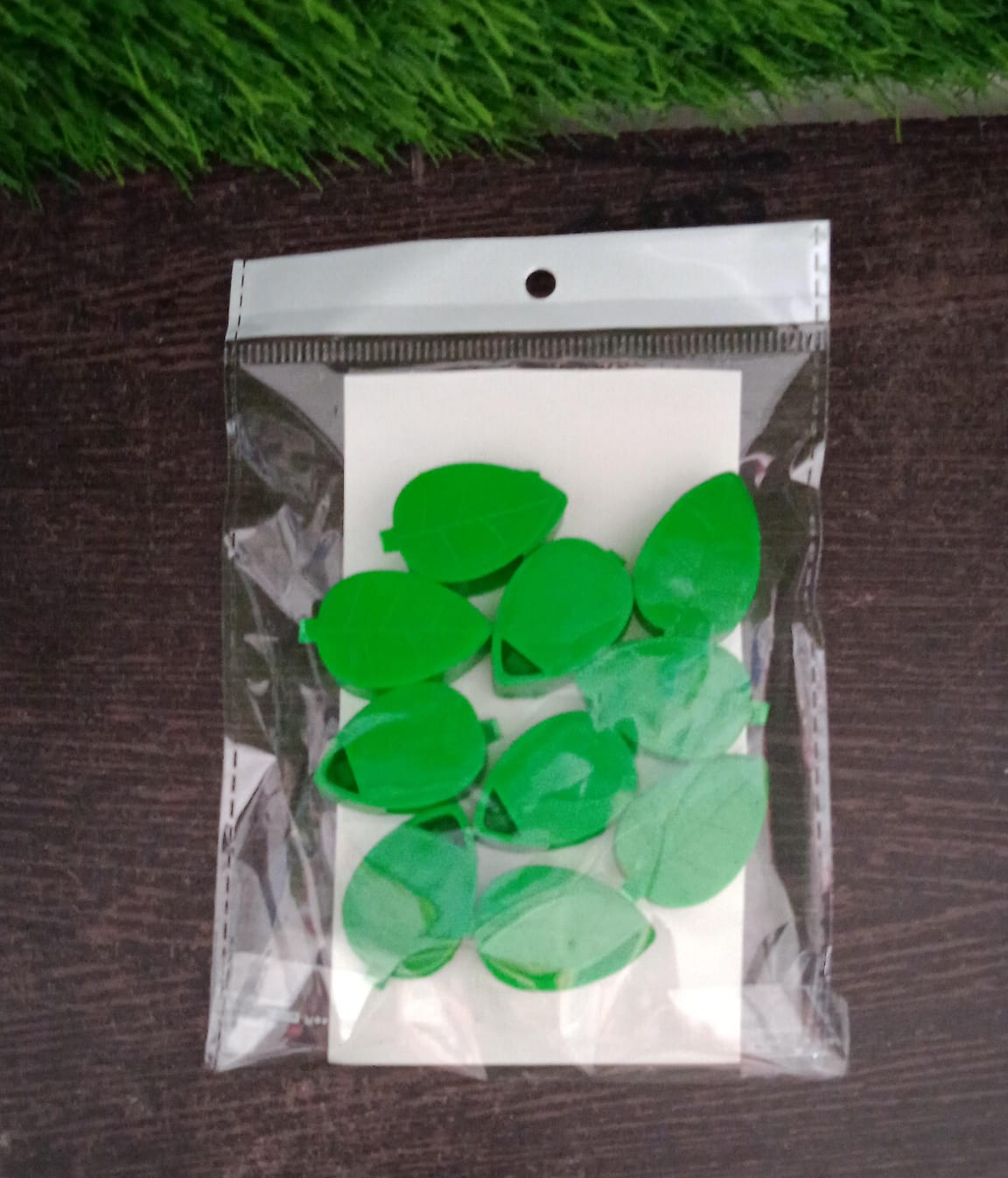 Plant Climbing Wall Fixture Clip Self - Adhesive Hook Vines Traction Invisible Stand Green Plant Clip Garden Wall Clip Plant Support Binding Clip Plants for Indoor Outdoor Decoration (10 Pcs Set) - infinityexculsivestore.com