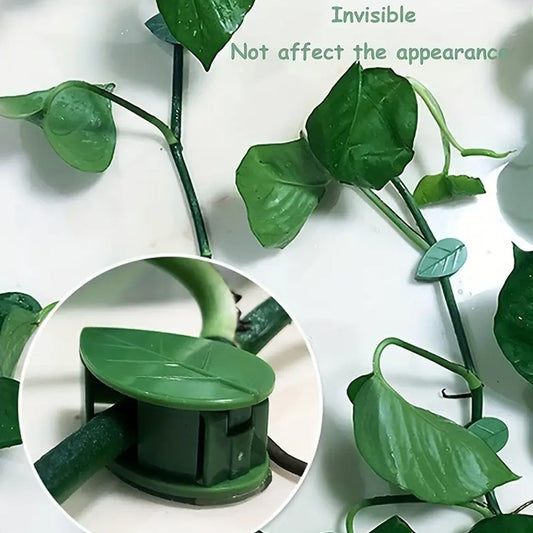 Plant Climbing Wall Fixture Clip Self - Adhesive Hook Vines Traction Invisible Stand Green Plant Clip Garden Wall Clip Plant Support Binding Clip Plants for Indoor Outdoor Decoration (30 Pcs Set) - infinityexculsivestore.com