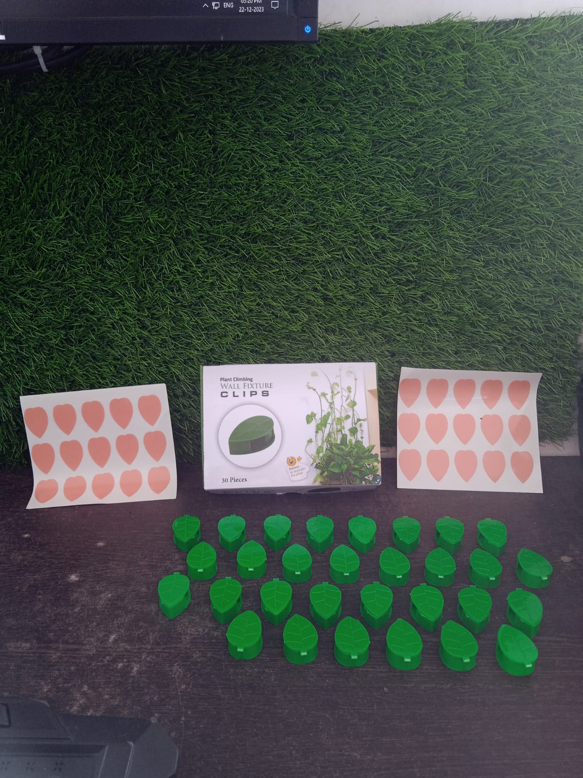 Plant Climbing Wall Fixture Clip Self - Adhesive Hook Vines Traction Invisible Stand Green Plant Clip Garden Wall Clip Plant Support Binding Clip Plants for Indoor Outdoor Decoration (30 Pcs Set) - infinityexculsivestore.com