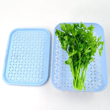 1 Pc Kothmir Basket widely used in all types of household places for holding and storing various kinds of fruits and vegetables etc. - infinityexculsivestore.com