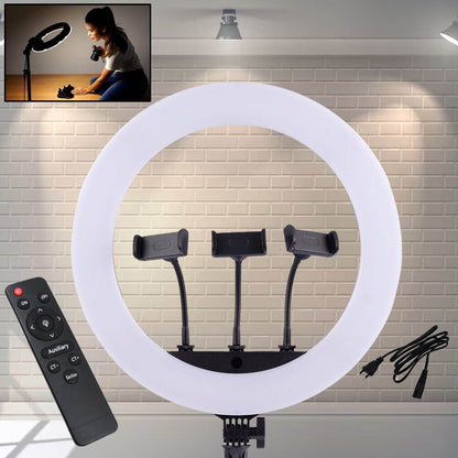 18 Inch LED Ring Light with 3 Colour Modes & 3 Mobile Holders, Remote Control (1 Set) - infinityexculsivestore.com