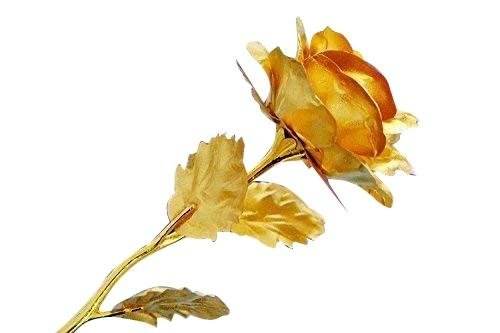 24K Artificial Golden Rose / Gold Red Rose with Gift Box (10 inches) - infinityexculsivestore.com